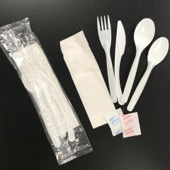 SANFACON FOOD KIT FORK/KNIFE/SPOON/NAP/SALT/PEPPER