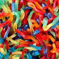 MONDOUX GUMMY WORM (BULK)