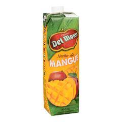 DEL MONTE MANGO NECTAR (TETRA)