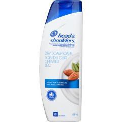 HEAD N SHOULDER SHAMPOO DRY SCALP