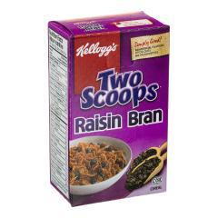 KELLOGG'S RAISIN BRAN CEREAL (PORTION)