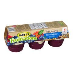 MOTT'S FRUITSATIONS SNACK BLUEBERRY UNSWEETENED (PORTION)