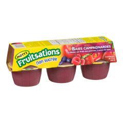 MOTT'S FRUITSATIONS SNACK COUNTRY BERRY UNSWEETENED (PORTION)